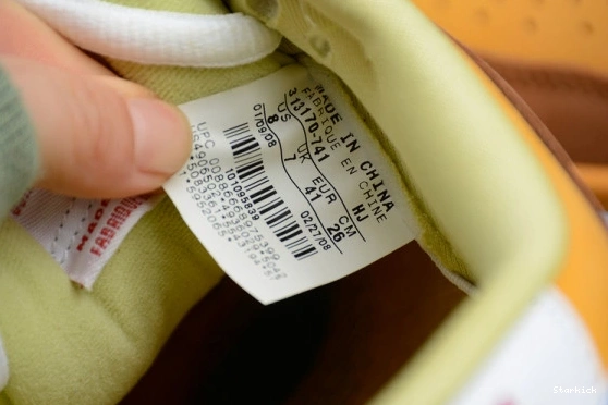 Ale Brown Dunk Low Newcastle Nike 313170-741 SB 1113